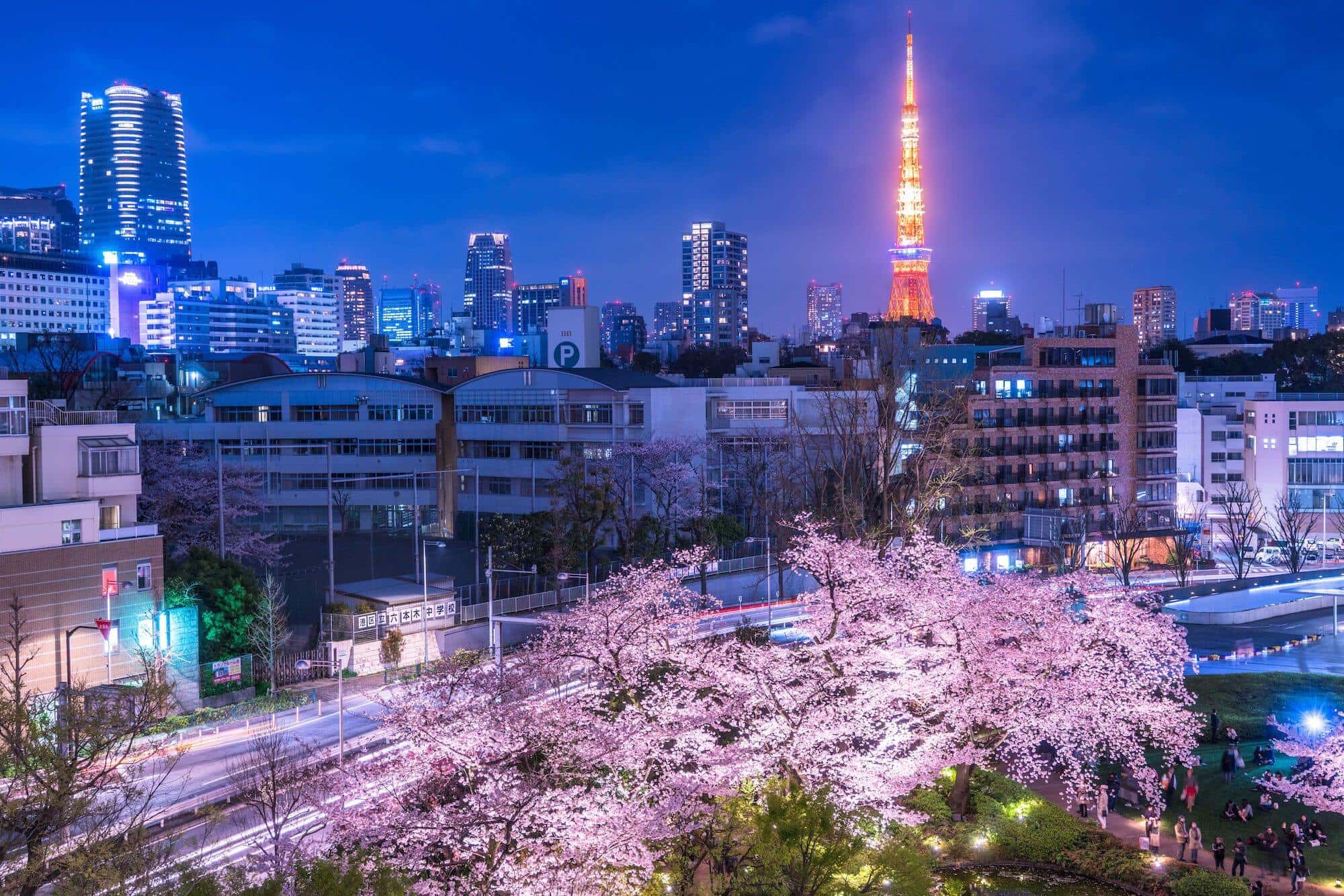 The Ultimate Guide to Tokyo's Neighborhoods & Districts