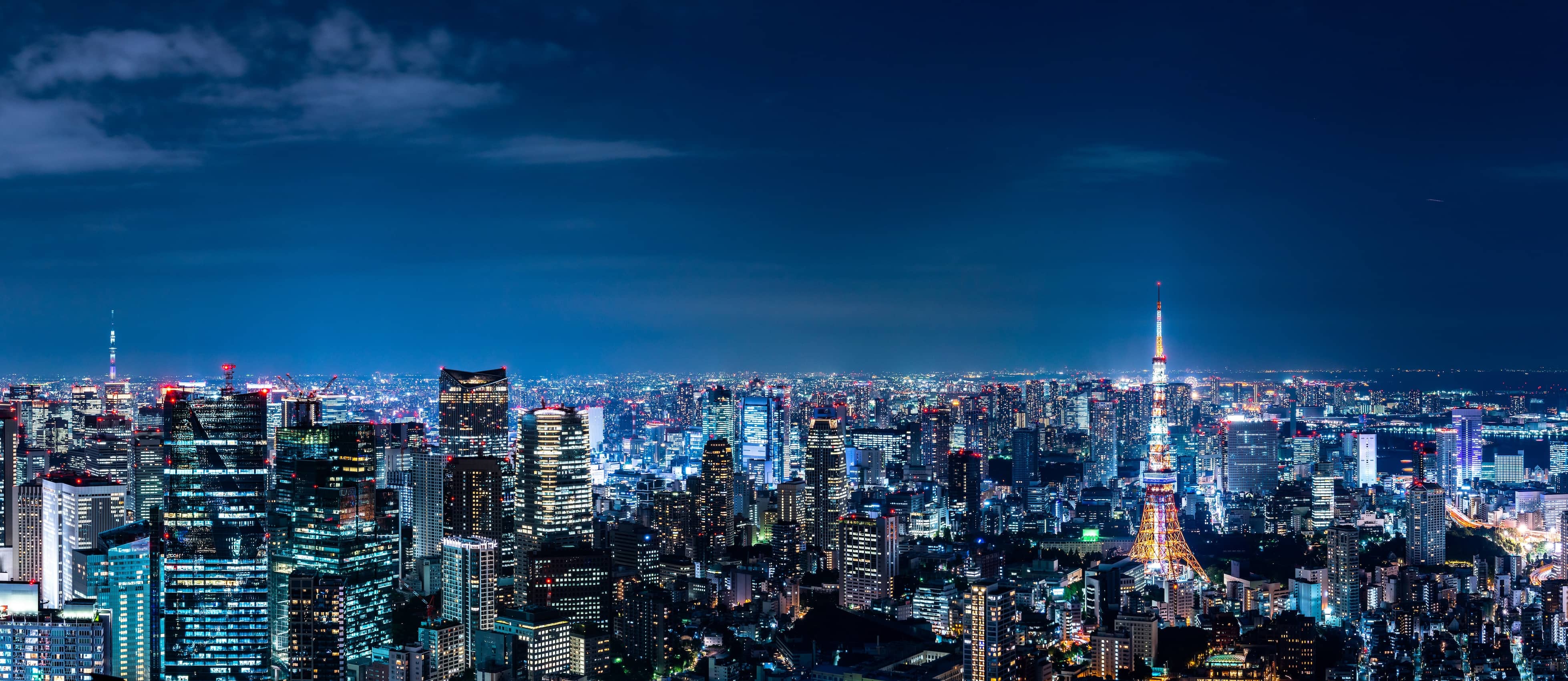 Housing Japan group, Tokyo skyline