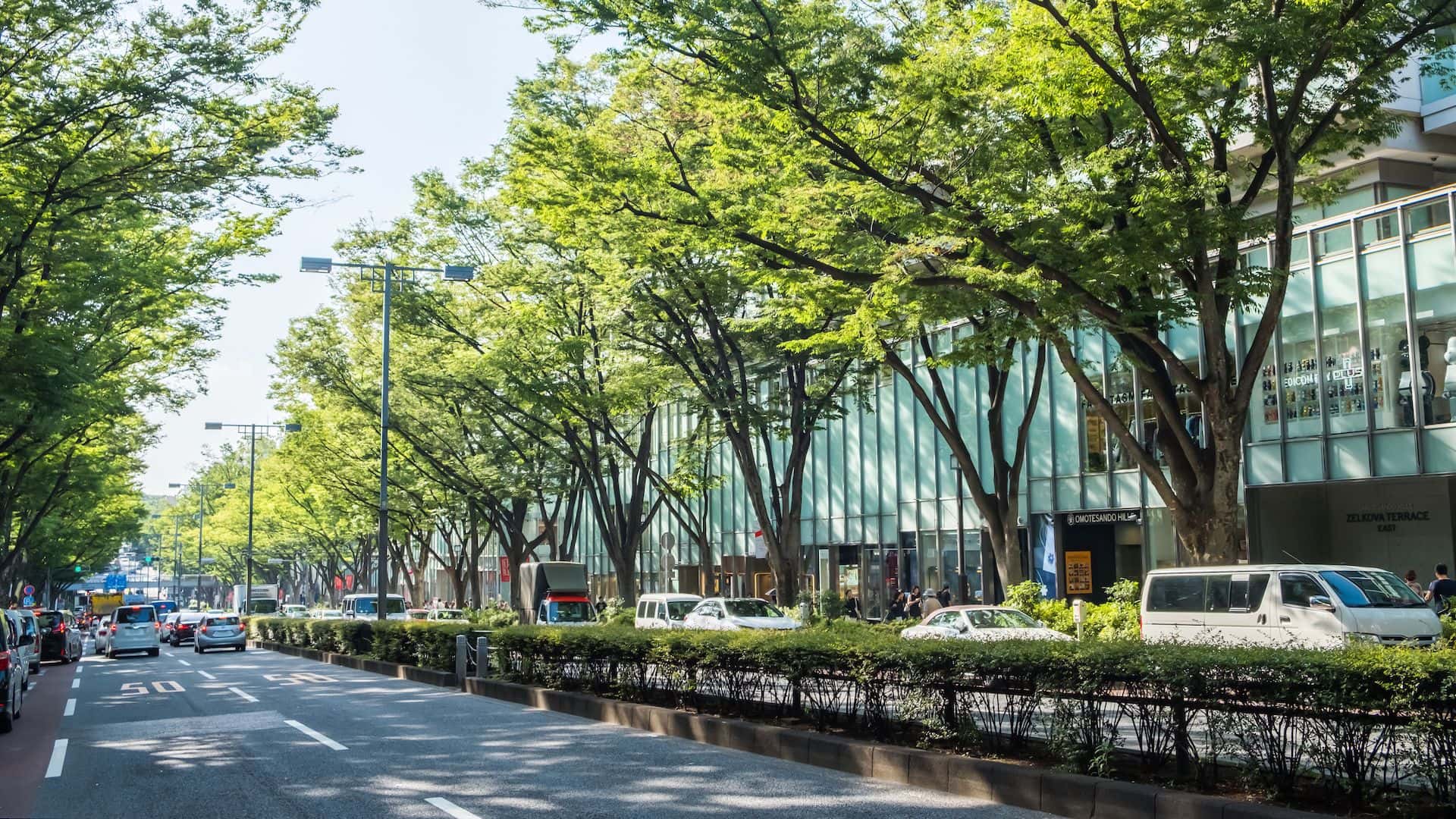 Living in Aoyama  Your Luxury Real Estate Guide to Tokyo